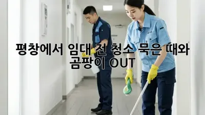 평창에서 임대 전 청소🧹? 묵은 때와 곰팡이 OUT! ✨