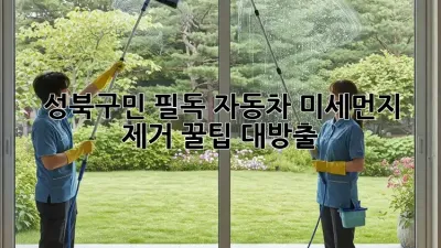 😷 성북구민 필독! 자동차 미세먼지 제거, 꿀팁 대방출!
